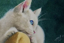 4 tuổi là con cưng Thần Tài: Tháng 11 âm phú quý tìm đến cửa