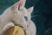 4 tuổi là con cưng Thần Tài: Tháng 11 âm phú quý tìm đến cửa