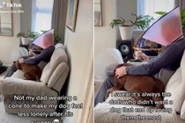 Ông bố đội nón để chó cưng “bớt cô đơn” đốn tim dân mạng