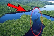 Tại sao vẫn chưa có một cây cầu nào bắc qua sông Amazon?