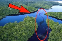 Tại sao vẫn chưa có một cây cầu nào bắc qua sông Amazon?