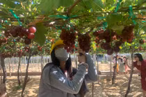 Thích thú với trải nghiệm du lịch sinh thái ở Ninh Thuận