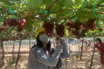 Thích thú với trải nghiệm du lịch sinh thái ở Ninh Thuận