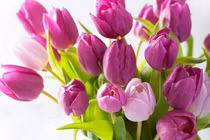 3 con giáp dũng cảm đối mặt thử thách, cuối tháng 4 hốt bạc 