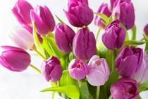 3 con giáp dũng cảm đối mặt thử thách, cuối tháng 4 hốt bạc 