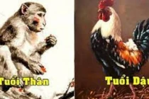 Duyên trời đã định, 3 cặp giáp lấy nhau về ăn nên làm ra