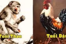 Duyên trời đã định, 3 cặp giáp lấy nhau về ăn nên làm ra