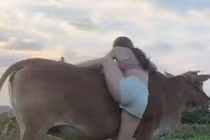 Mặc áo trễ cổ sâu đi chăn trâu, cô "nông dân" bị chê cười?