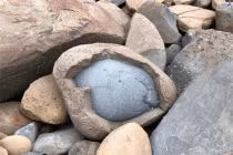 Những bức ảnh độc lạ của tự nhiên, không xem phí một đời