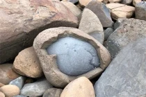 Những bức ảnh độc lạ của tự nhiên, không xem phí một đời