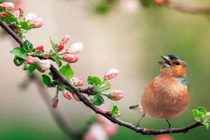 Sinh tháng Âm lịch này không thiếu quý nhân