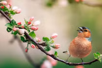 Sinh tháng Âm lịch này không thiếu quý nhân