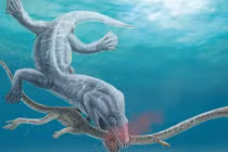 Truy tìm vua quái vật cắt đứt đôi thủy quái dài 6 m
