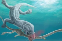 Truy tìm vua quái vật cắt đứt đôi thủy quái dài 6 m