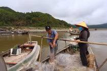 Ngư dân Hà Tĩnh vươn khơi thu "lộc biển" sau đợt mưa lớn