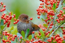 Ai sinh tháng Âm lịch này cuối năm không nợ, tiền túi rủng rỉnh