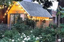 Ngôi nhà hoa hồng rộng 15m2 của vợ chồng trẻ ở Vũng Tàu