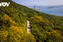 Những khoảnh khắc đẹp như tranh ở bán đảo Sơn Trà