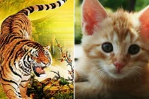 Từ giữa tháng 3 dương: 3 con giáp vận may liên tiếp, gánh vàng còng lưng 