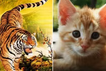 Từ giữa tháng 3 dương: 3 con giáp vận may liên tiếp, gánh vàng còng lưng 