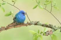 Người sinh tháng Âm lịch này quý nhân luôn vây quanh