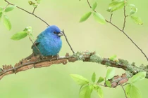 Người sinh tháng Âm lịch này quý nhân luôn vây quanh