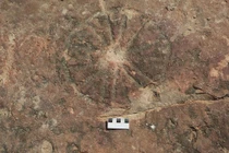 Tìm thấy tác phẩm nghệ thuật 9.000 năm tuổi cạnh dấu chân khủng long