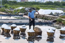 Tại sao có nhiều muối trong biển, và muối này đến từ đâu?