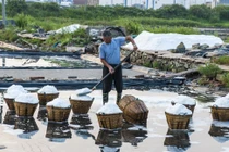 Tại sao có nhiều muối trong biển, và muối này đến từ đâu?