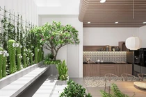 Nhà phố đưa ánh sáng và cây xanh vào nhà, khí tươi tràn ngập 