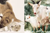 Ba con giáp lần lượt giành vị trí “Quán quân tài lộc bùng nổ" 