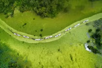 Chiêm ngưỡng bức tranh phong cảnh “cẩm thạch” Trà Sư