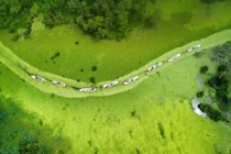 Chiêm ngưỡng bức tranh phong cảnh “cẩm thạch” Trà Sư