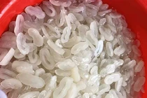 Bán loại hạt trong veo, bà chủ Hà thành ngày thu chục triệu