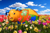 4 con giáp sẵn sàng đón may mắn trong năm mới