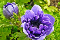 Người sinh 3 tháng Âm lịch này nhận thưởng lớn, tương lai không phú cũng quý