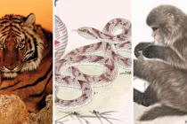 4 tuổi vướng hạn cực xấu cuối Nhâm Dần, 1 tuổi mất trắng cơ ngơi