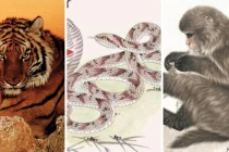 4 tuổi vướng hạn cực xấu cuối Nhâm Dần, 1 tuổi mất trắng cơ ngơi