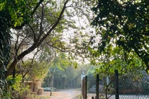 Đường về quê dịp Tết không xa mà nỗi nhớ tràn đầy