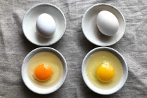Lòng đỏ trứng có màu cam tốt hơn hay màu vàng?