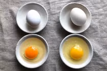 Lòng đỏ trứng có màu cam tốt hơn hay màu vàng?