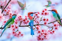 Thu Đông hanh thông, 4 con giáp thu nhập tăng vun vút, giàu khủng 