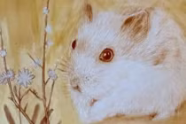 Tuần mới (3-9/10): 2 con giáp hưởng trọn phúc khí, 1 tuổi lao đao 