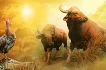 Từ tháng 6 - 8/2022: 3 con giáp “một tay hốt vàng, một tay đón lộc“