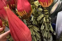 Dân Hà thành chuộng mua hoa chuối rừng về cắm chơi Tết