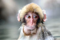 Trước Rằm tháng 5 âm: 3 con giáp tốt số, đụng trúng Rương vàng 