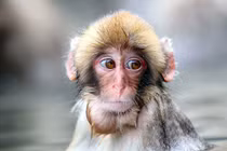 Trước Rằm tháng 5 âm: 3 con giáp tốt số, đụng trúng Rương vàng 