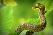 Chia buồn 3 con giáp tiền của "không cánh mà bay" trong tháng 9