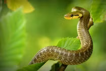 Chia buồn 3 con giáp tiền của "không cánh mà bay" trong tháng 9