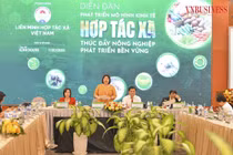 Tháo gỡ khó khăn, thúc đẩy kinh tế hợp tác xã phát triển bền vững